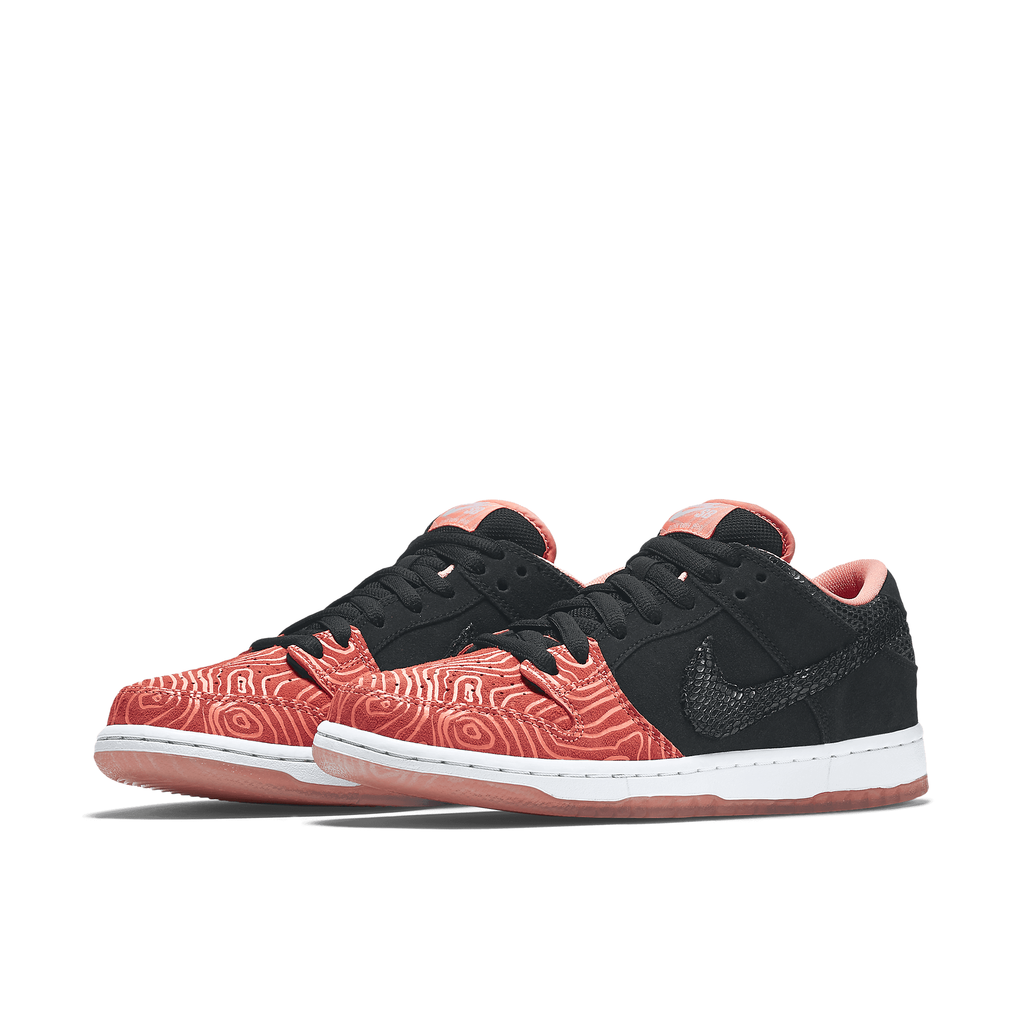nike sb fish ladder