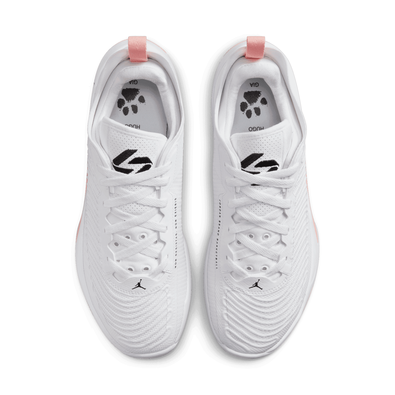 Jordan Luka 1 Dog Dad - DN1772-106 Raffles & Where to Buy