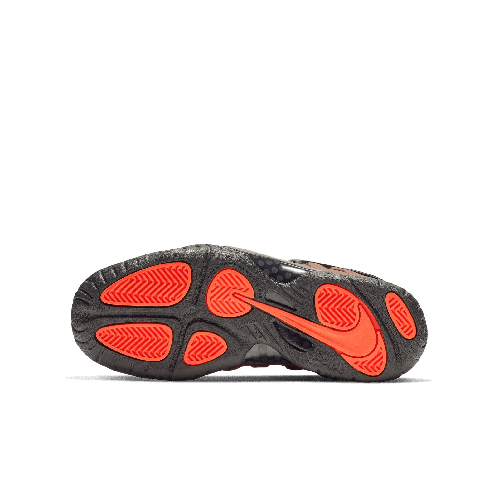 foamposite pro color shift