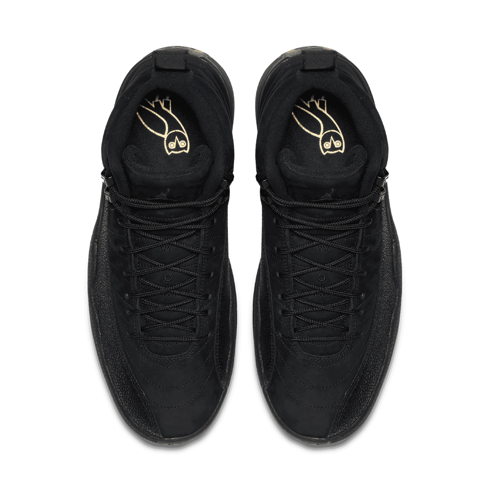 jordan 12 ovo black and white