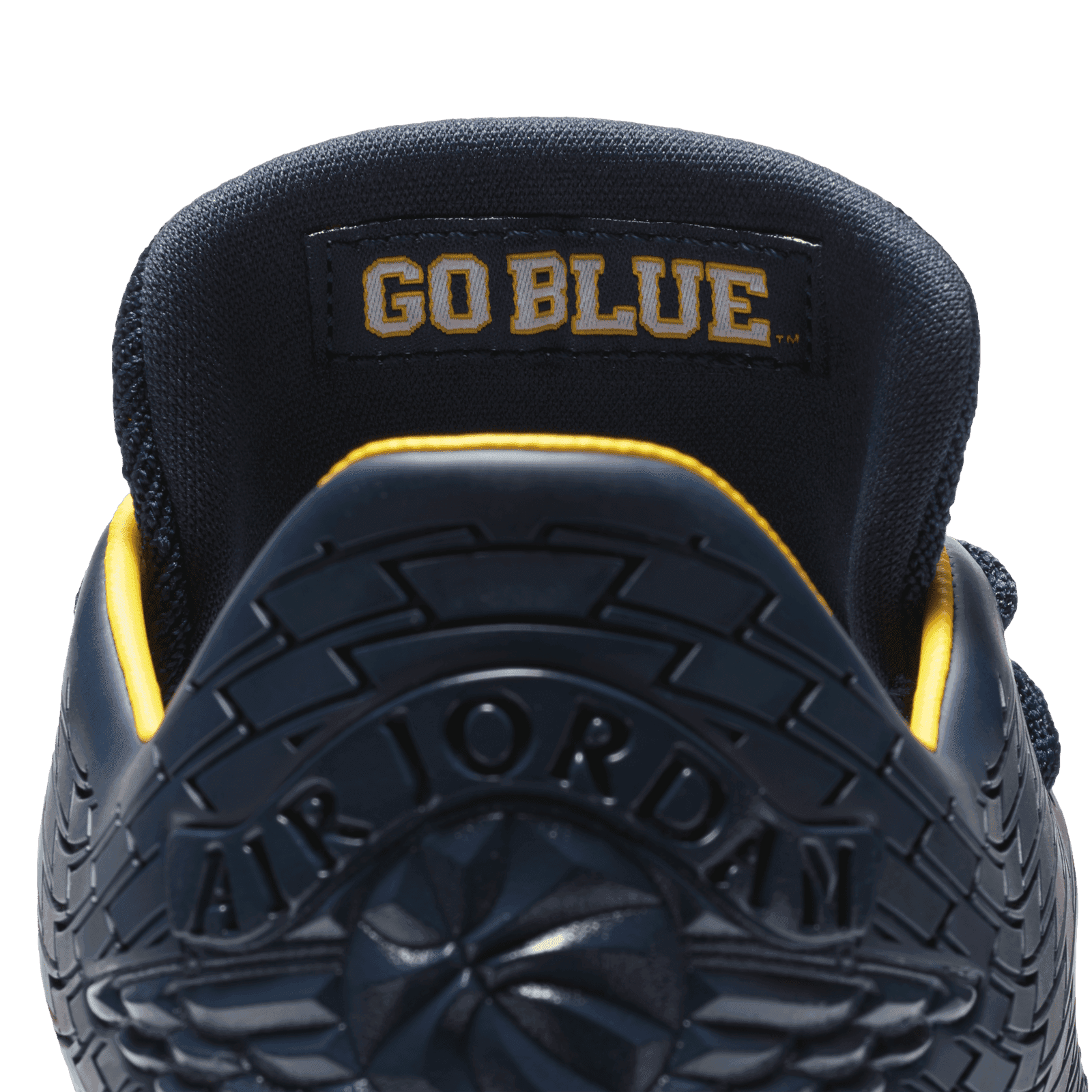 jordan xxxii low michigan