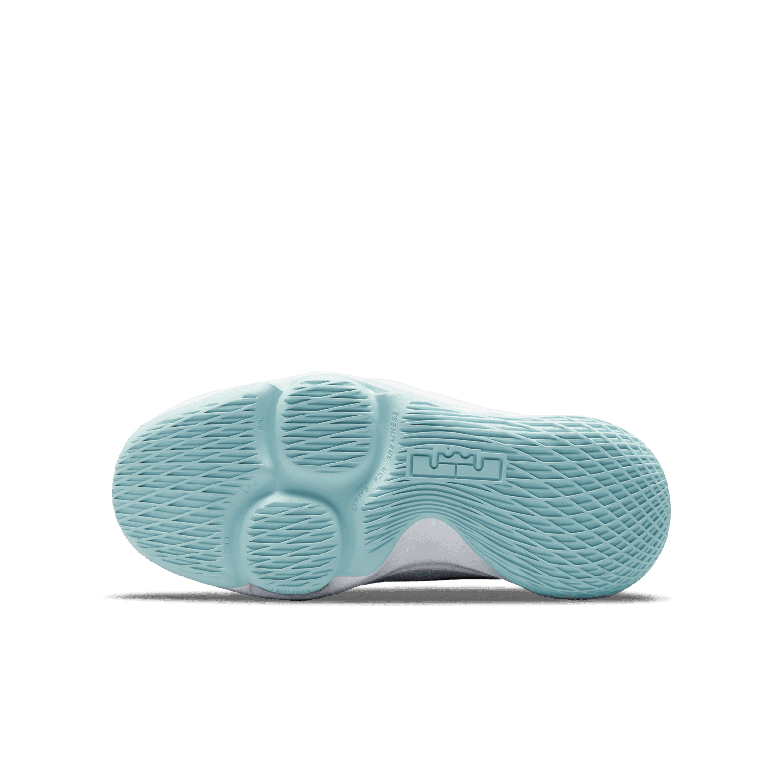Witness5 Nike LeBron Witness 5 Pure Platinum Light Dew (GS) - CT4629-006