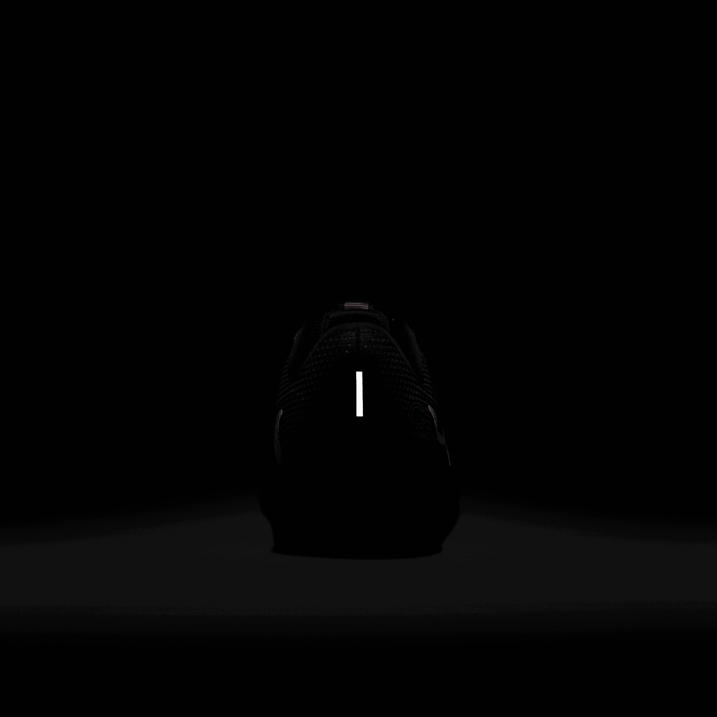 nike air pegasus bears