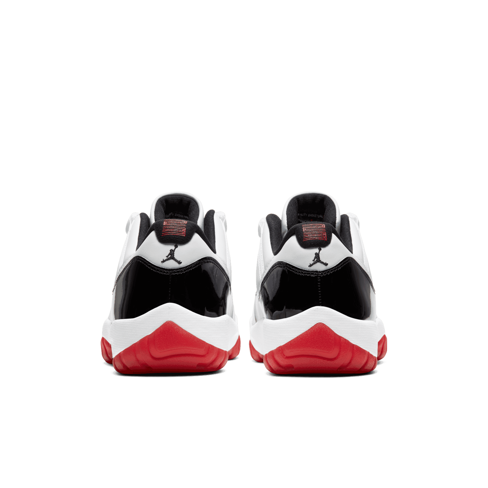 Concord 11 new arrivals back