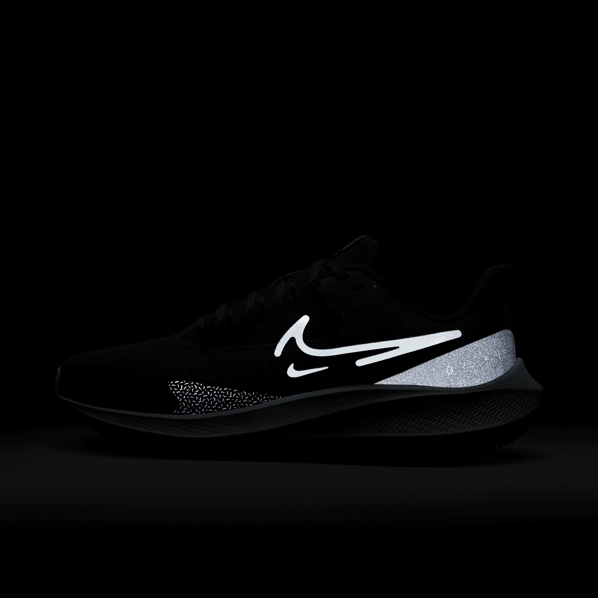 Nike Air Zoom Pegasus 39 Shield 