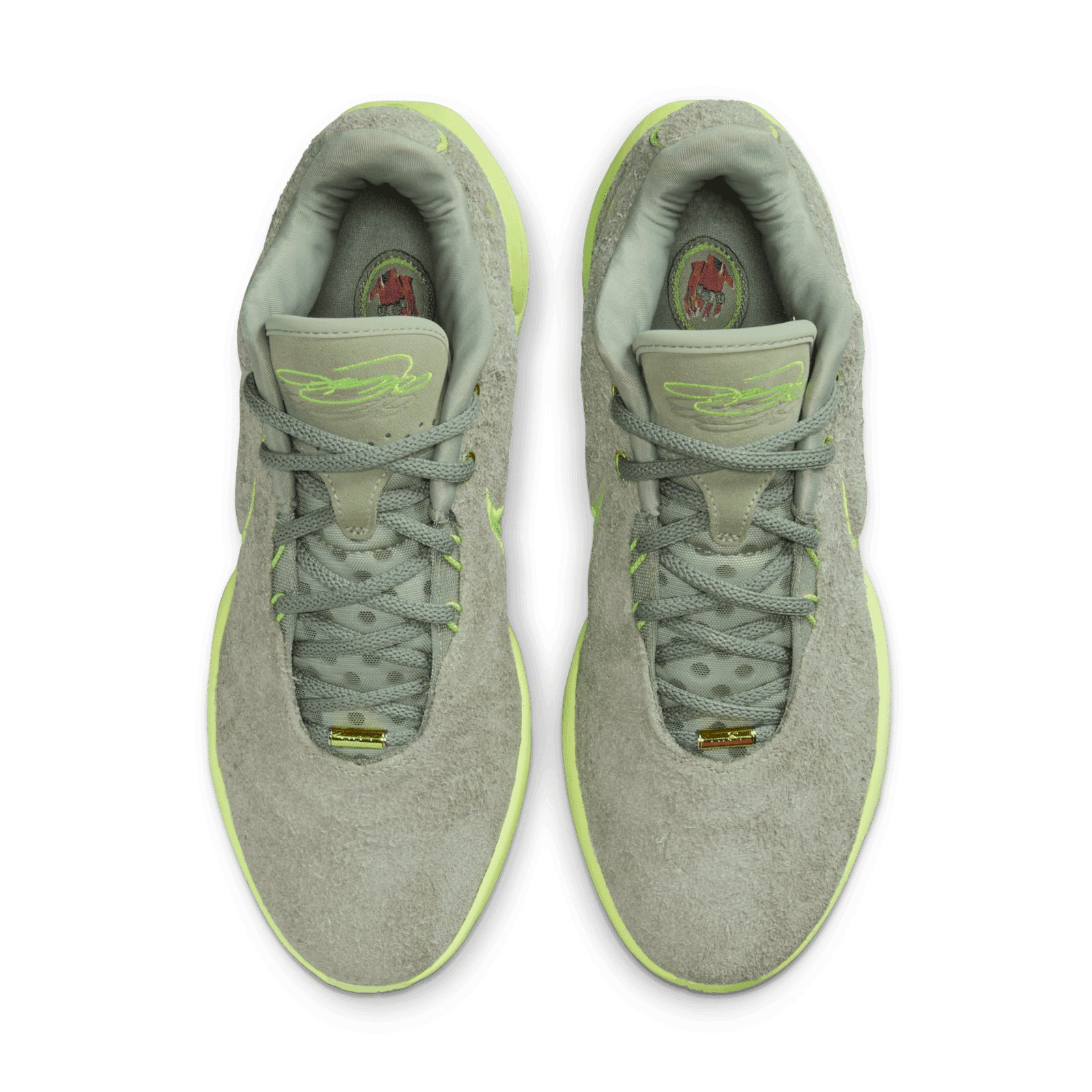 Nike LeBron 21 Algae - FV2345-302 Raffles & Where to Buy