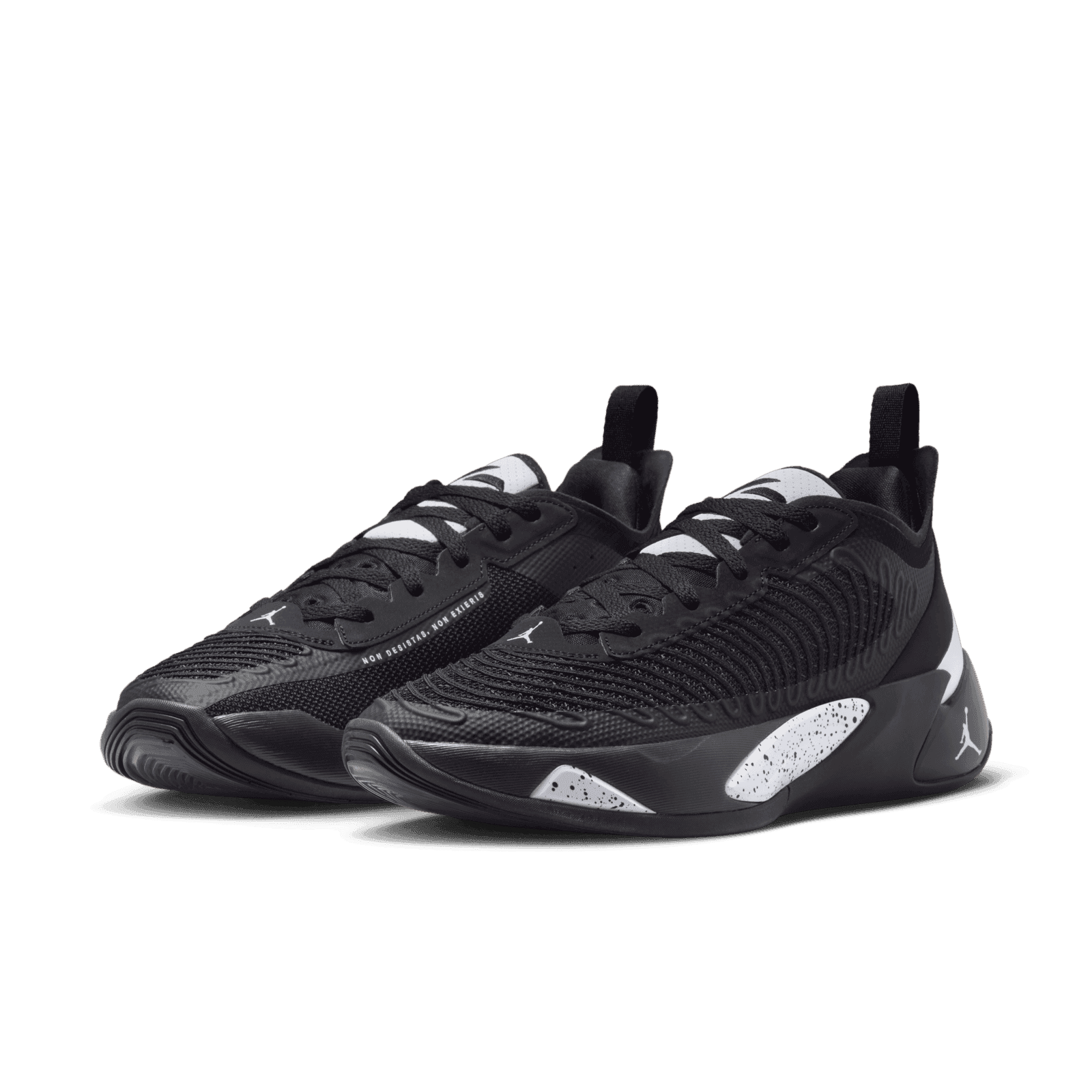 Jordan Luka 1 Oreo - DQ7689-001 Raffles & Where to Buy