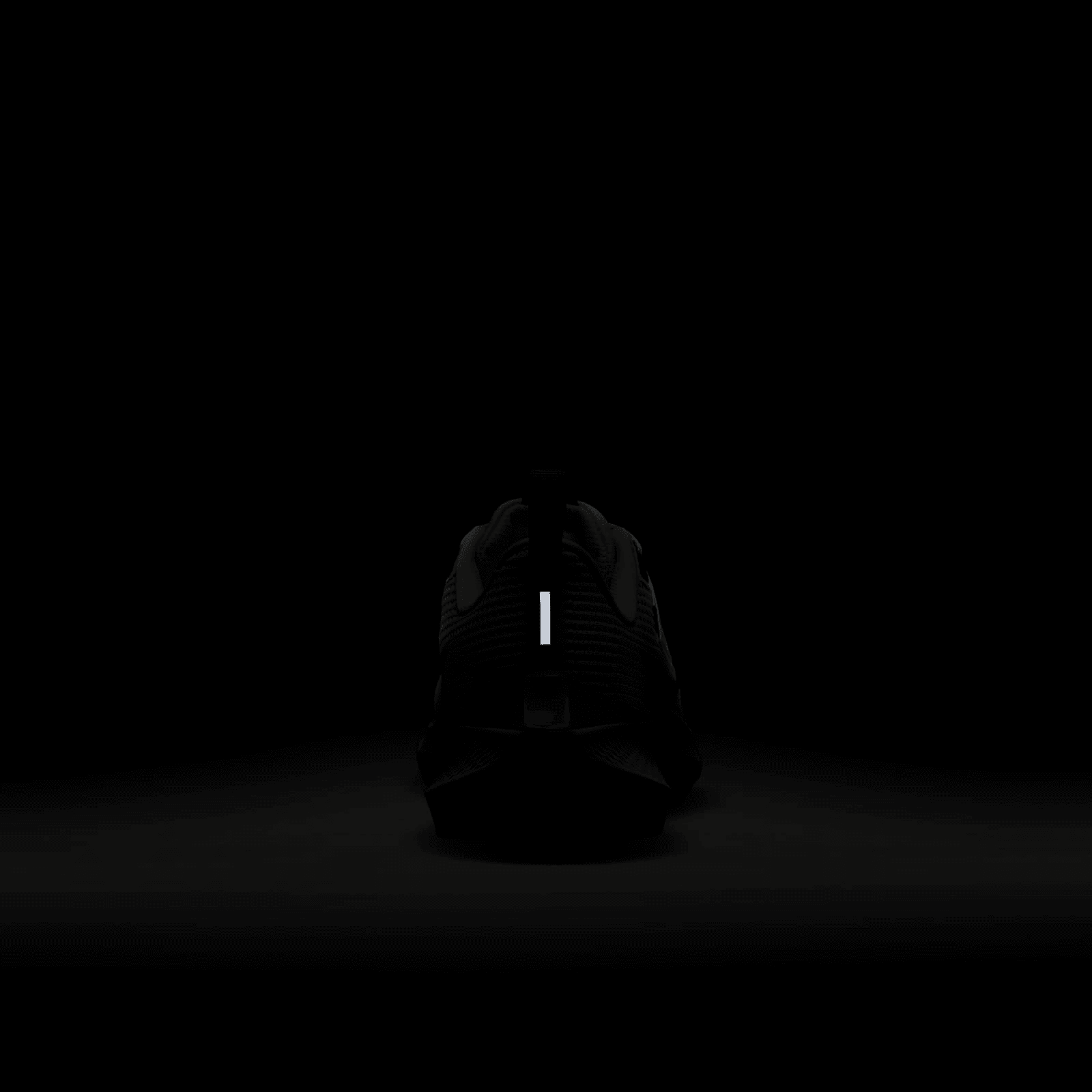 Nike Air Zoom Pegasus 40 Big Kids' Road - DX2498-006 Release Info