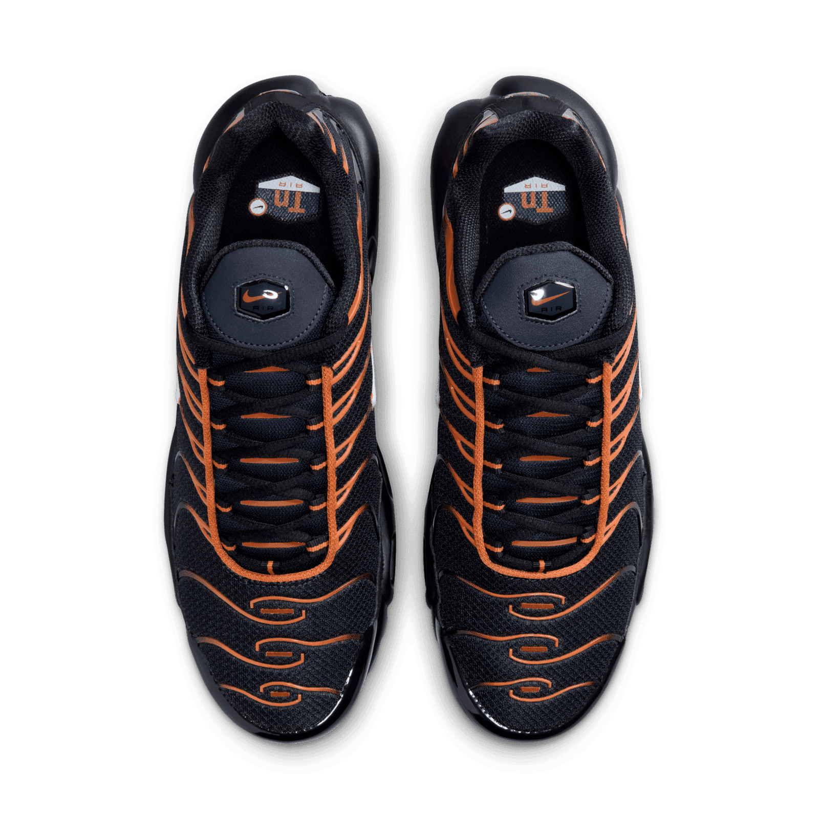 Nike Air Max Plus 'Dark Obsidian Monarch' - FN6949-400