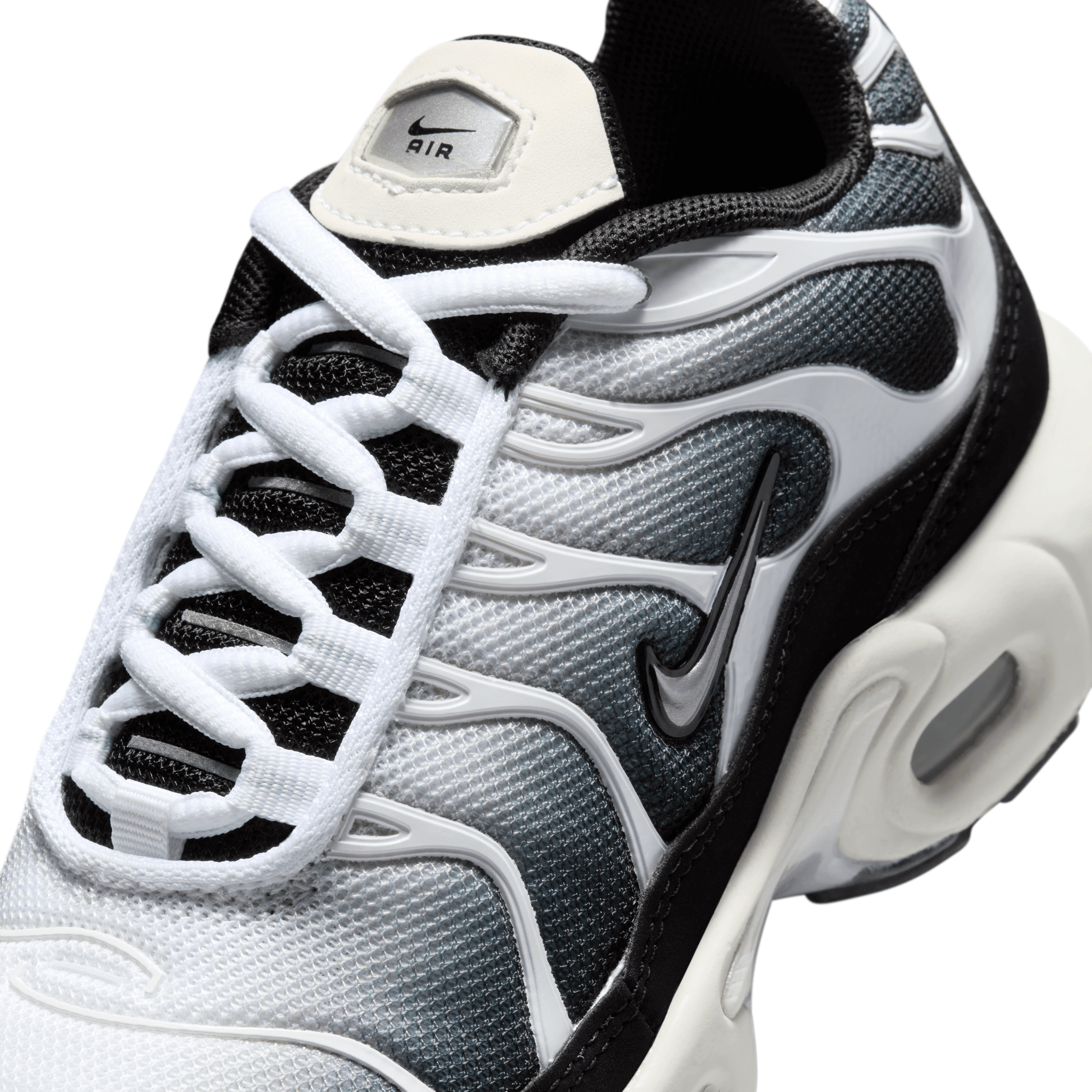 nike air max plus ombre