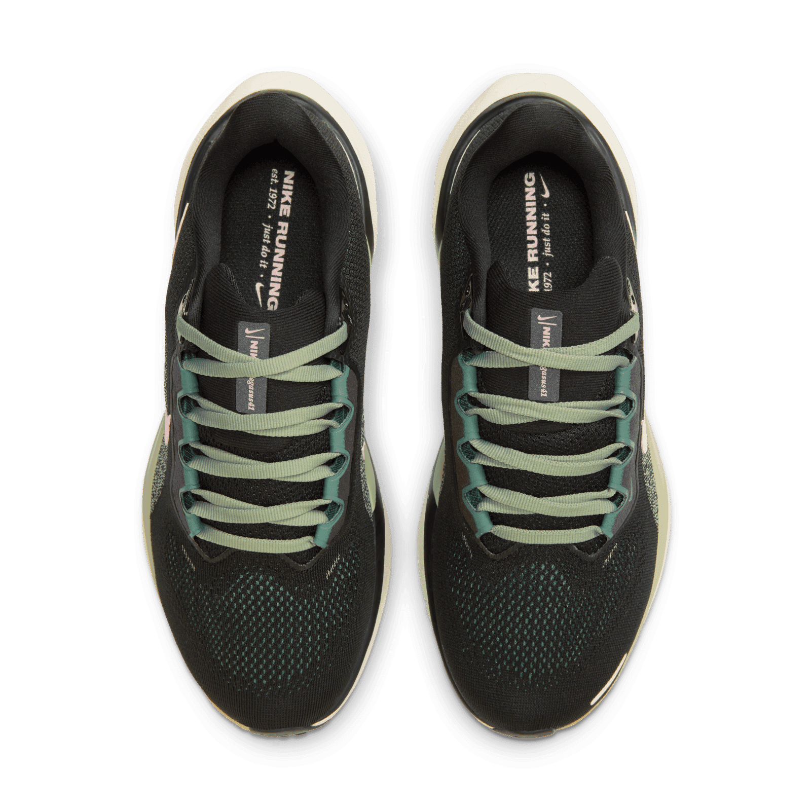Nike Air Zoom Pegasus 41 'Black Jade Pink' (W) - FD2723-009