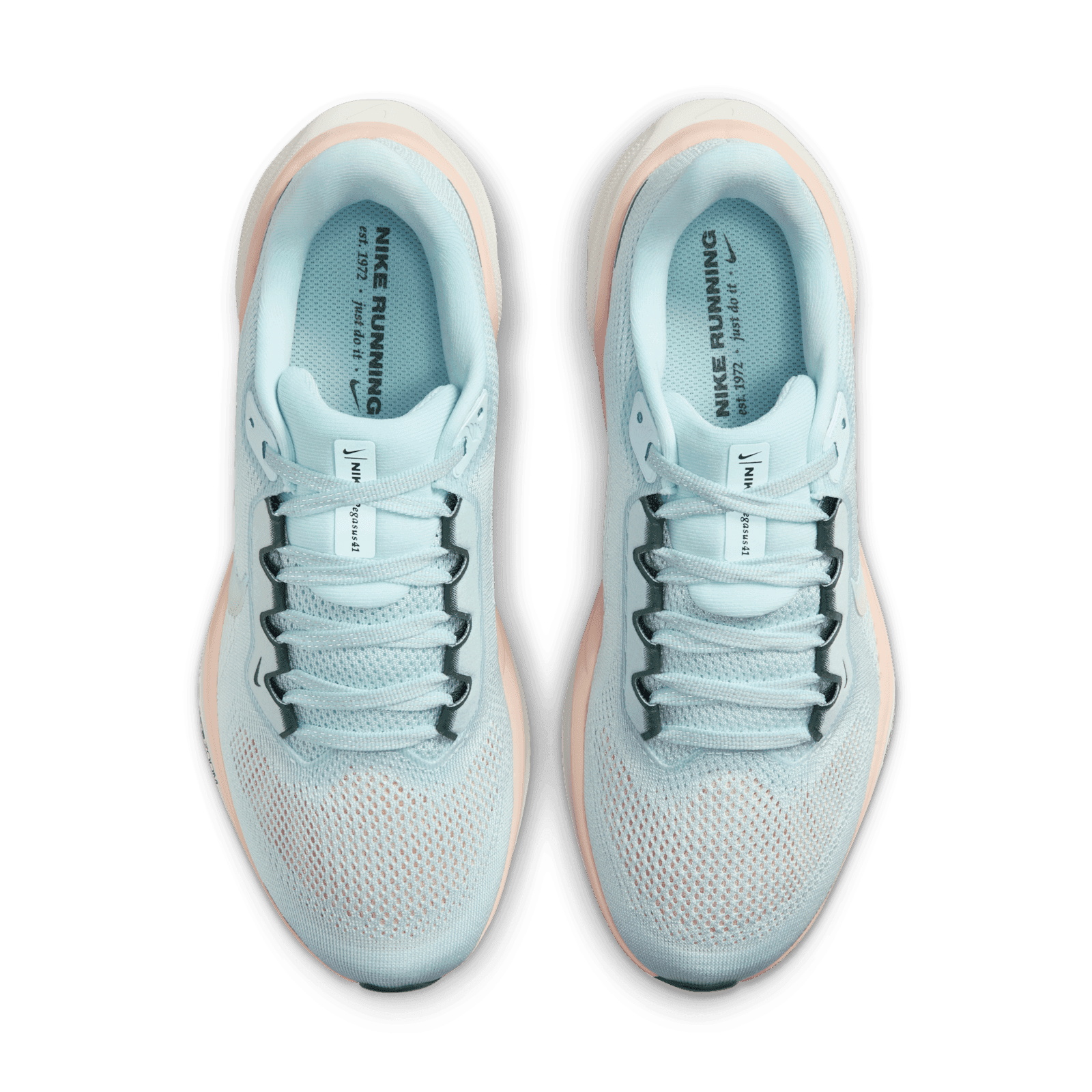Nike Air Zoom Pegasus 41 Premium 'Glacier Blue Washed Coral' (W