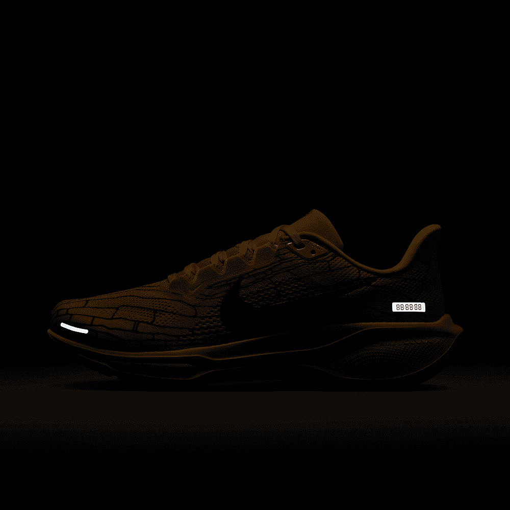 Nike Zoom Pegasus 41 Modern Mayfly - IH3257-700 Raffles  display picture 1