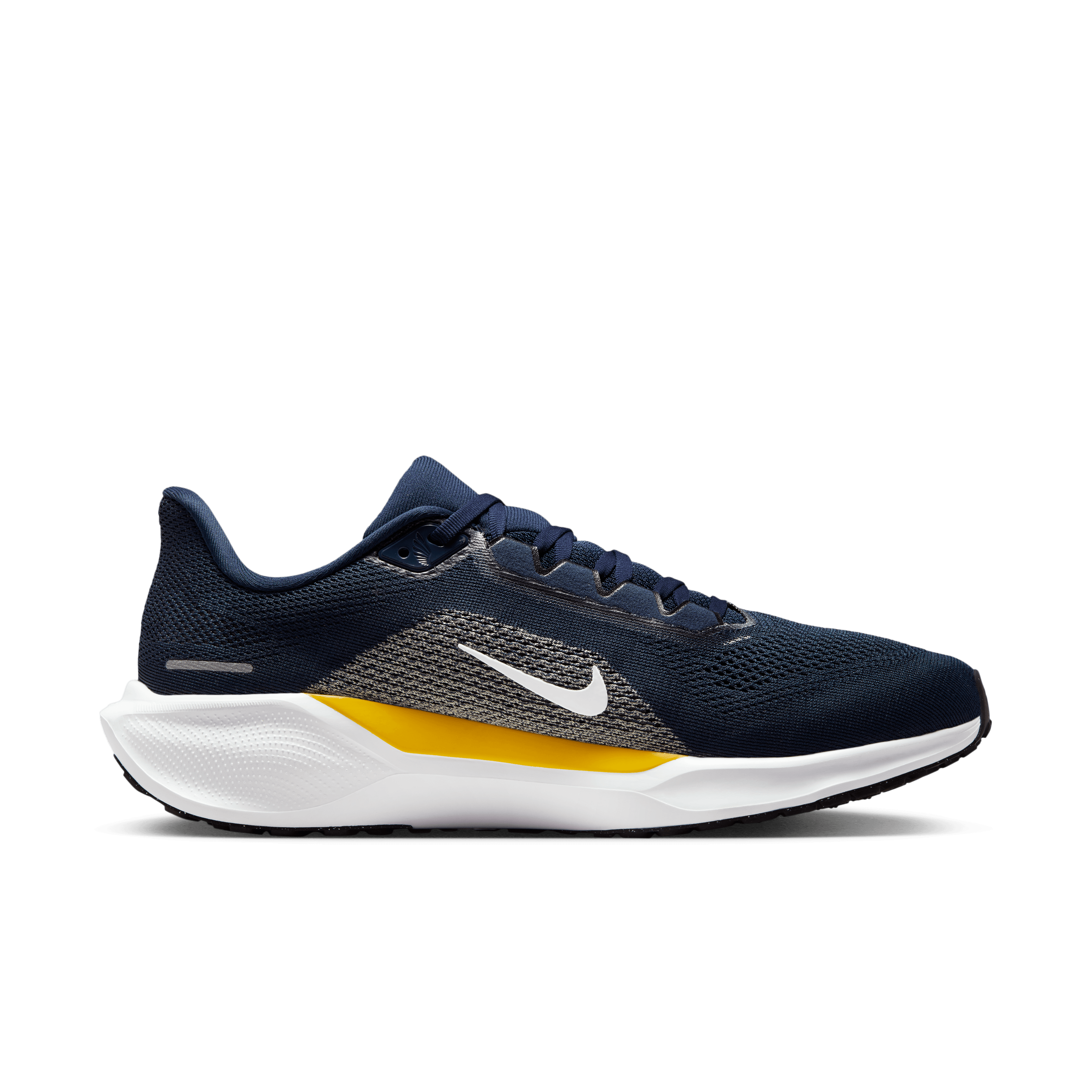 Nike Pegasus 41 NCAA Michigan - IB3269-400 Raffles & Where to Buy