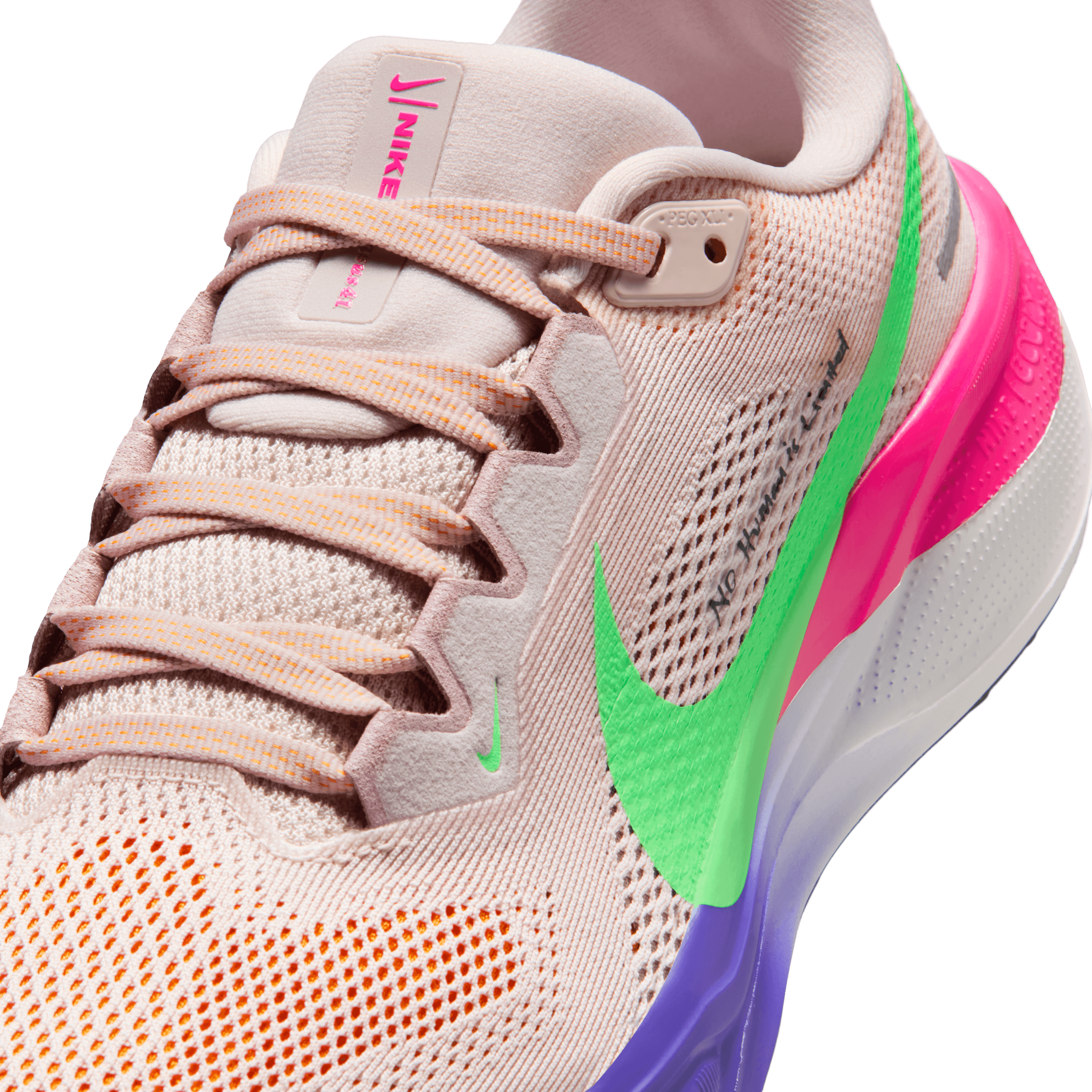 Nike Pegasus 41 Eliud Kipchoge No Human is Limited (W) - IM7512-600