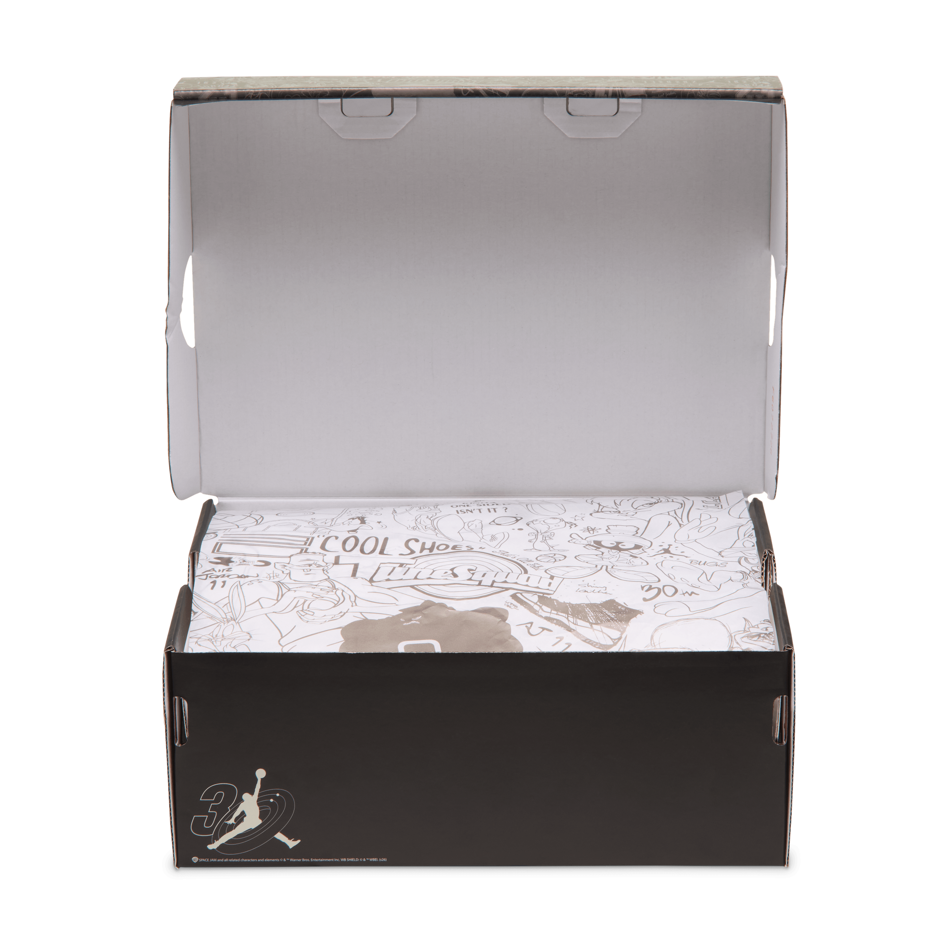 Air Jordan 1 Mid SE Space Jam (2026) (GS) - IZ1367-001 Release Info