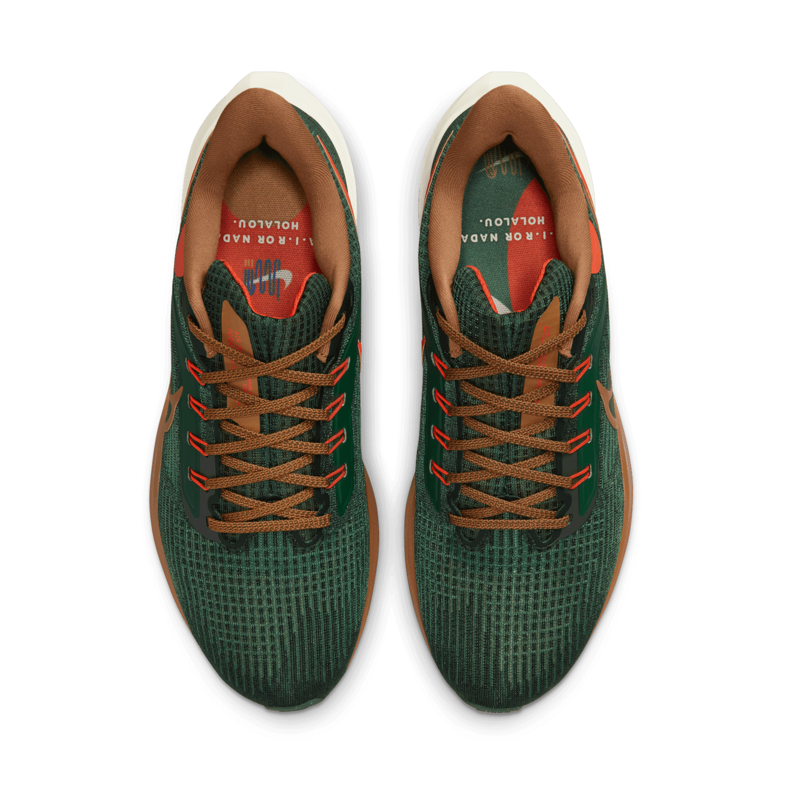 Nike Air Zoom Pegasus 39 A.I.R. Hola Lou - DO9500-300