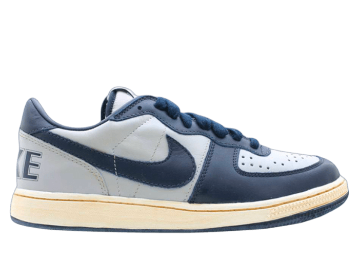 Nike Terminator Low NY vs. NY - FN6842-113 Raffles & Where to Buy