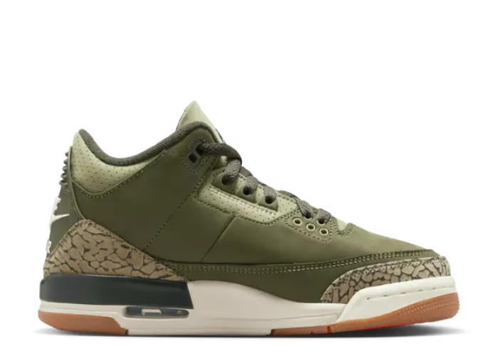 Air Jordan 3 Retro Family Affair (GS)