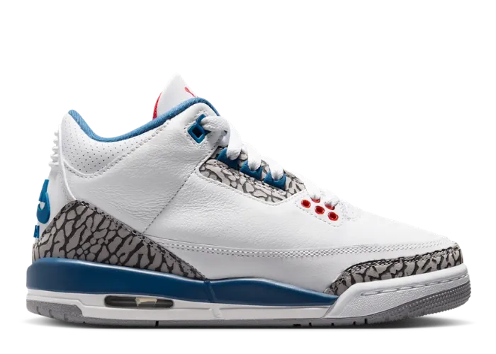 Air Jordan 3 Retro True Blue (GS)