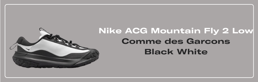 Nike ACG Mountain Fly 2 Low Comme des Garcons Black White