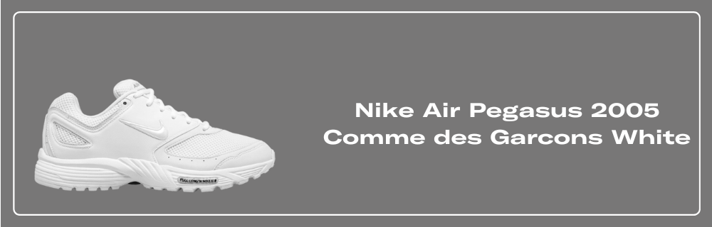 nike-air-pegasus-2005-comme-