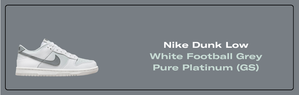 Nike Dunk Low GS Reflective Swoosh FV0365-100