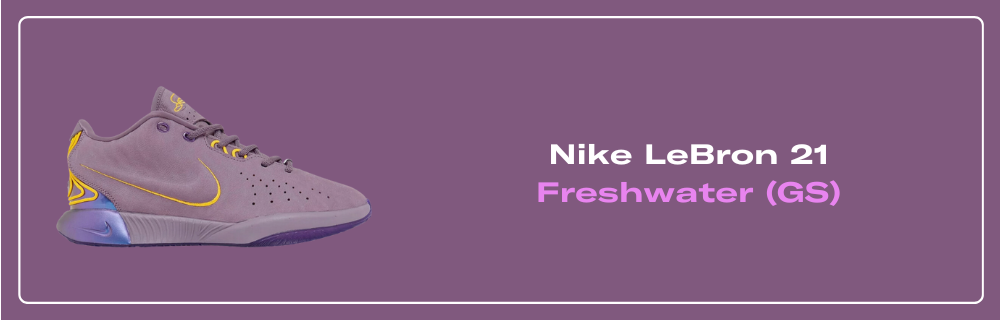 Nike LeBron 21 Purple Rain FV2345-500