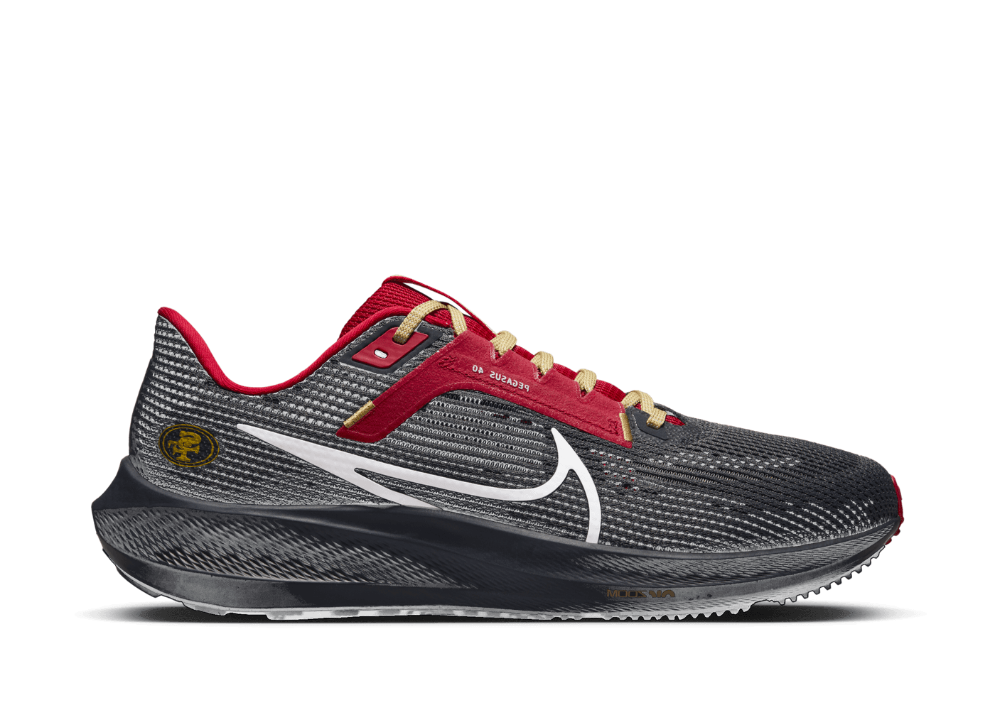 nike-nfl-x-air-zoom-pegasus-40