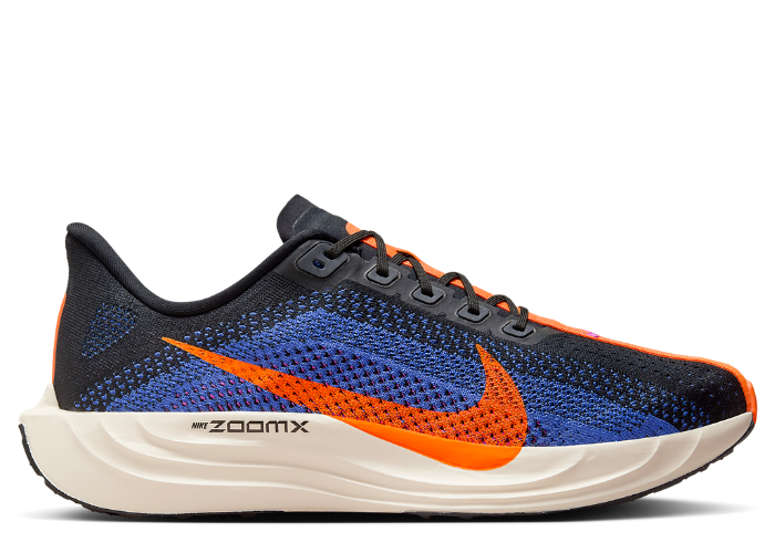 Nike Pegasus Plus Black Pure Platinum FQ7262-002 - Main Image