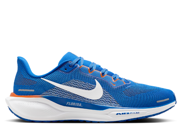 nike_zoom_pegasus_41_florida_F