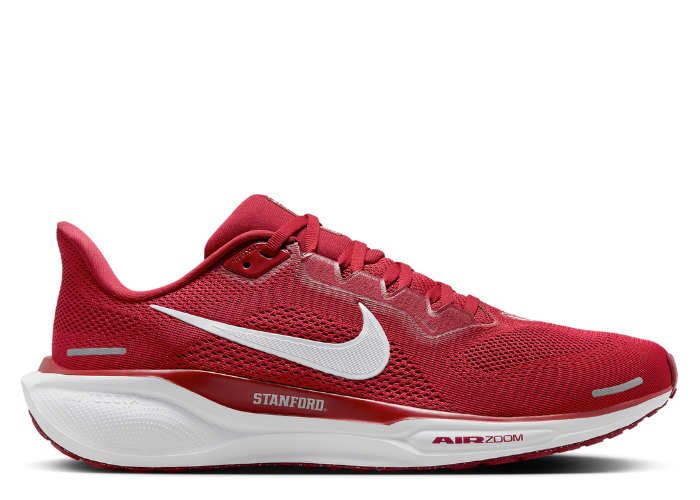 nike_zoom_pegasus_41_stanford_