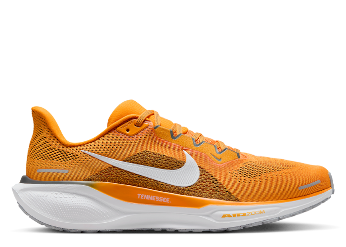 nike_zoom_pegasus_41_tennessee