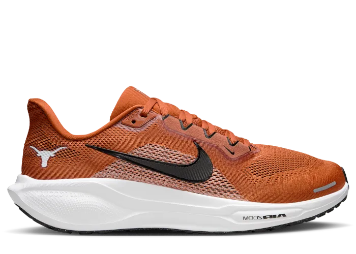 nike_zoom_pegasus_41_texas_lon