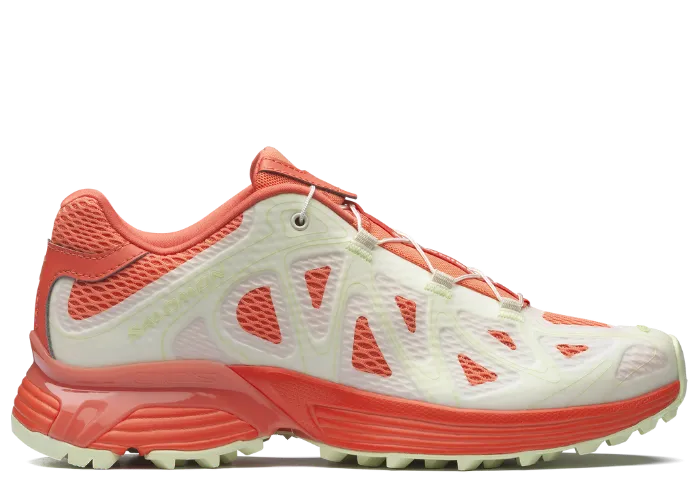 ニコニコさん。専用　SALOMON 18 Mirage Palm Tree SALOMON - XT-WHISPER – +81